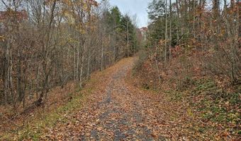 Fox Hollow Dr lot 17, Bastian, VA 24314