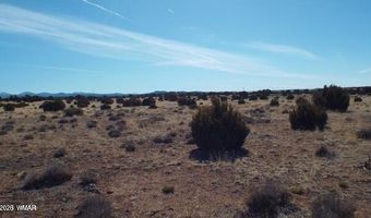 Parcel 107-52-046, Concho, AZ 85924
