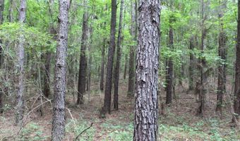 0000 Highway 550 NW, Brookhaven, MS 39601