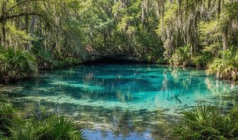 02-2 N 11-0083-00P0-0310 Fairview Rd, Alford, FL 32420