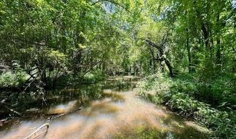 NE Williams Street, Brookhaven, MS 39601