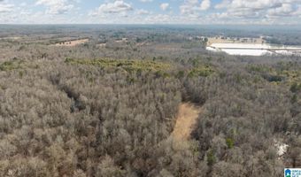 BRUSH CREEK DRIVE lot 0, Akron, AL 35441
