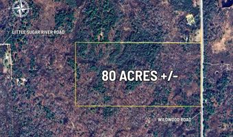 VL Wildwood Road, Alger, MI 48610