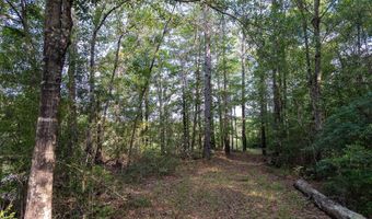 10 AC +/- Gravel Pit Lake Rd, Beaumont, MS 39423