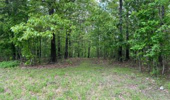 Co Rd 321 Route 5, Ava, MO 65608