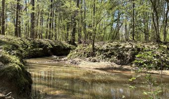 SW Auburn Drive, Bogue Chitto, MS 39629