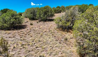 00 N Hilltop Trl Lot D2, Chino Valley, AZ 86323