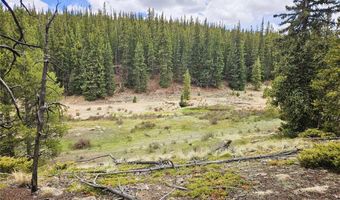 700 Looney Ln Lot 0, Alma, CO 80420