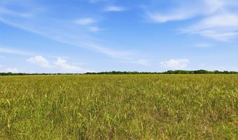 421 Chambers Creek Trl, Alvarado, TX 76009