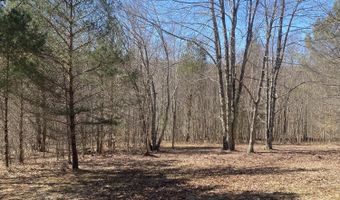 L21.1 Alder Pond Road, Andes, NY 13740