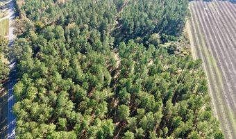 TBD Binnicker Bridge Road, Bamberg, SC 29003