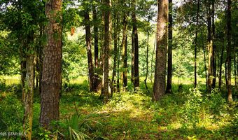 Cypress Pointe Drive lot 6, Brooksville, MS 39739