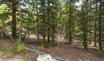 452 QUARTZVILLE Rd, Alma, CO 80420