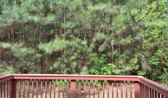 1005 Double Spring Ct, Apex, NC 27502