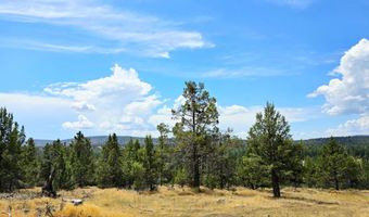 Canvasback Drive 28, Bonanza, OR 97623