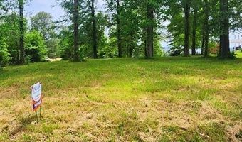 Overlook Ridge, Big Sandy, TN 38221