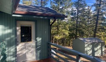 33 N Skinner Rd, Allenspark, CO 80510
