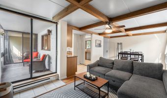 342 W Miner St 1A, Arlington Heights, IL 60005