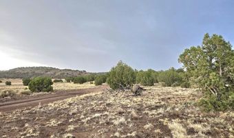 Pinon Valley Ranch lot 9, Concho, AZ 85924