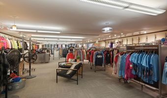 408 E Cooper Ave, Aspen, CO 81611