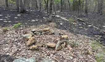 TBD Kiamichi Wilderness, Antlers, OK 74523