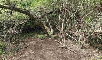 73763 Coon Creek Rd, Armada, MI 48005