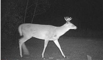 999 Porcupine Trl, Aitkin, MN 56431