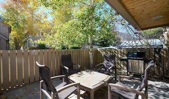 825 E Hopkins Ave 2S, Aspen, CO 81611