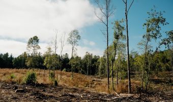 US Hwy 98, Beaumont, MS 39423