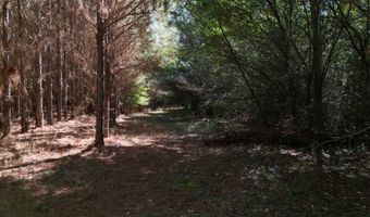 01 Goose Platter Rd, Batesburg, SC 29006