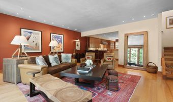 714 S Galena St B, Aspen, CO 81611