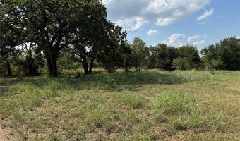 153 Cattail Trl, Millsap, TX 76066