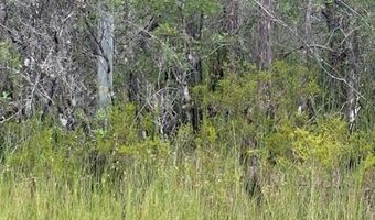 4539 NW Miller/White LN Rd, Altha, FL 32421