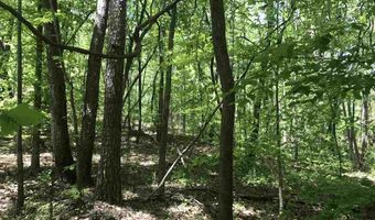SHOAL CREST DRIVE lot 3 And 4, Ashville, AL 35953