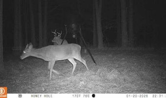 BRUSHY Ln, Arley, AL 35541