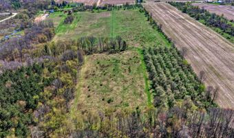 V/L W Chicago Road, Allen, MI 49227