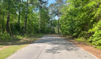 0 Robin Dr, Bamberg, SC 29003