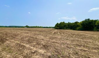 Rocky Creek Road, Ashford, AL 36312