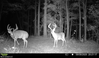 2 Champion Hill Rd, Bolton, MS 39041