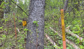 400 GROVER DRY FARM Rd, Afton, WY 83110