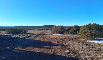 286 County Rd, Concho, AZ 85924