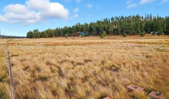 440 2104, Alpine, AZ 85920