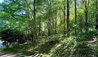 Chestnut Mountain Road, Banner Elk, NC 28604