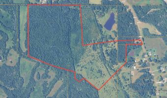 CR 6121, Baldwyn, MS 38824
