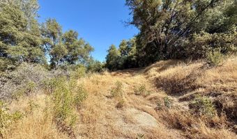 41902 Woodward Way, Ahwahnee, CA 93601