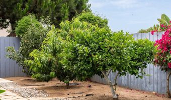 1004 California St, Oceanside, CA 92054