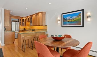 980 E Hyman Ave 3, Aspen, CO 81611