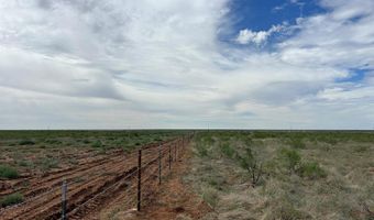 NE 7100, Andrews, TX 79714