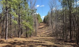 MOUNTAIN CUT RD lot B, Appomattox, VA 24522
