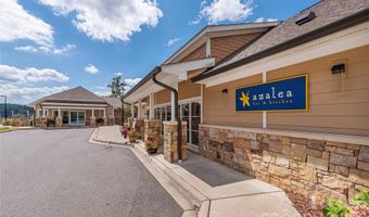 222 Bowling Park Rd, Asheville, NC 28803